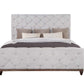 Andria Queen Bed By Acme Furniture | Beds | Modishstore - 2