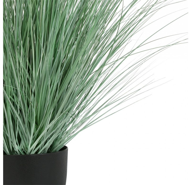 Grass, Potted Bear, 45"H by Gold Leaf Design Group | Botanicals | Modishstore - 3