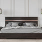 Nova Domus Benzon Italian Modern Dark Rovere Bedroom Set | Bedroom Sets | Modishstore - 2