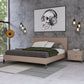 Nova Domus Boston - Modern Brown Oak & Brushed Stainless Steel Bed | Modishstore | Beds
