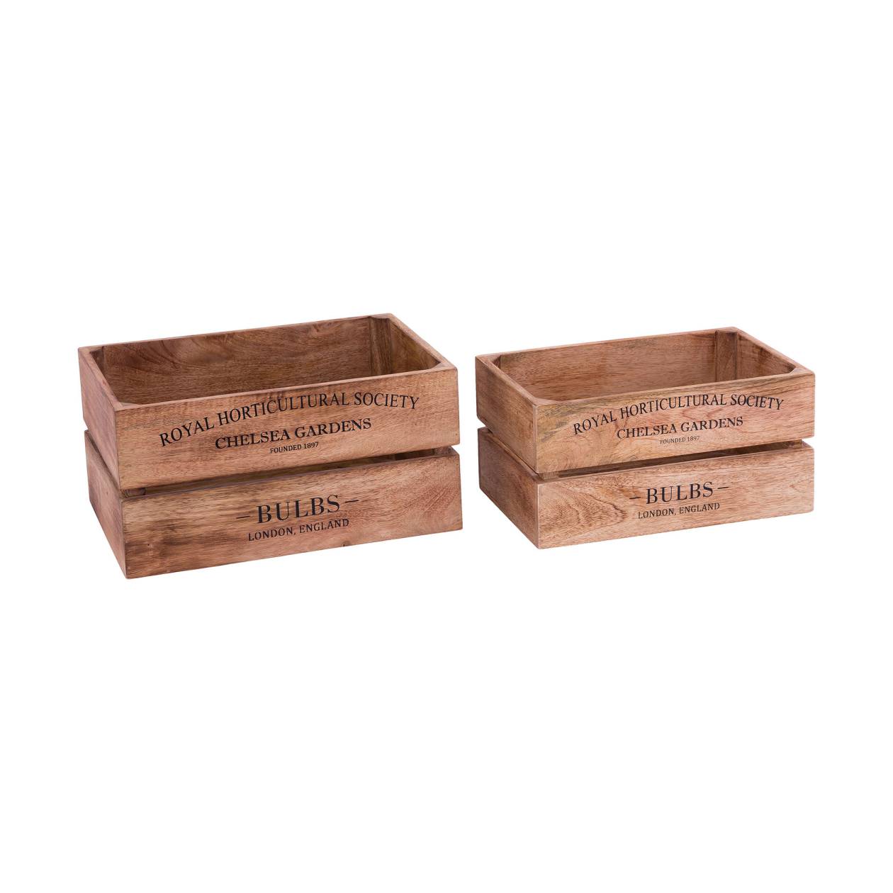 English Bulbs Boxes (Set of 2) ELK Lifestyle | Decorative Boxes | Modishstore