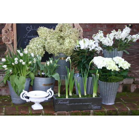 French Pleat Flower Bucket - Wide ELK Lifestyle | Planters, Troughs & Cachepots | Modishstore