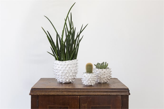 Cacti Pot Set of 8 By Accent Decor | Planters, Troughs & Cachepots | Modishstore - 6