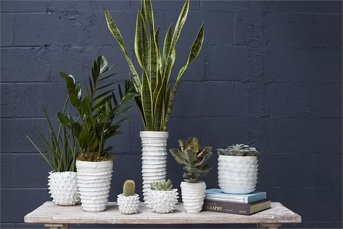 Cacti Pot Set of 8 By Accent Decor | Planters, Troughs & Cachepots | Modishstore - 7