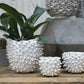 Cacti Pot Set of 8 By Accent Decor | Outdoor Planters, Troughs & Cachepots | Modishstore - 8