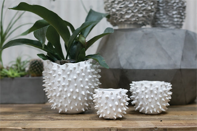 Cacti Pot Set of 8 By Accent Decor | Planters, Troughs & Cachepots | Modishstore - 8