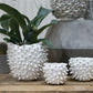 Cacti Pot Set of 8 By Accent Decor | Outdoor Planters, Troughs & Cachepots | Modishstore - 9
