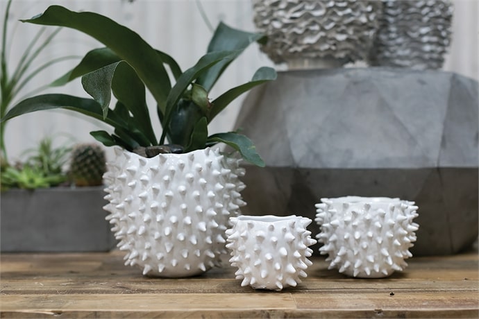 Cacti Pot Set of 8 By Accent Decor | Planters, Troughs & Cachepots | Modishstore - 9