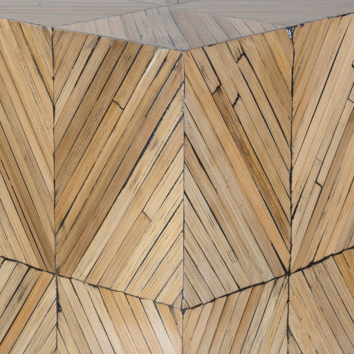 Surya End Table - CGN003-121219 | End Tables | Modishstore-3