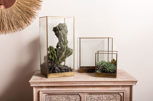 Coleman Glass top Display Box By Accent Decor- 3 Shapes | Display Cases | Modishstore - 1