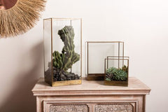 Coleman Glass top Display Box By Accent Decor- 3 Shapes