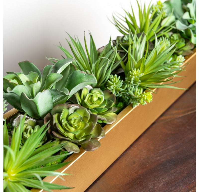 gold succulent planter Desert Echeveria in Linear Planter by Gold Leaf Design Group – Modish Store