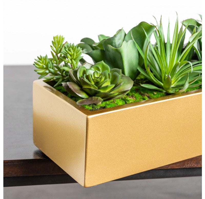 gold succulent holder Desert Echeveria in Linear Planter by Gold Leaf Design Group – Modish Store