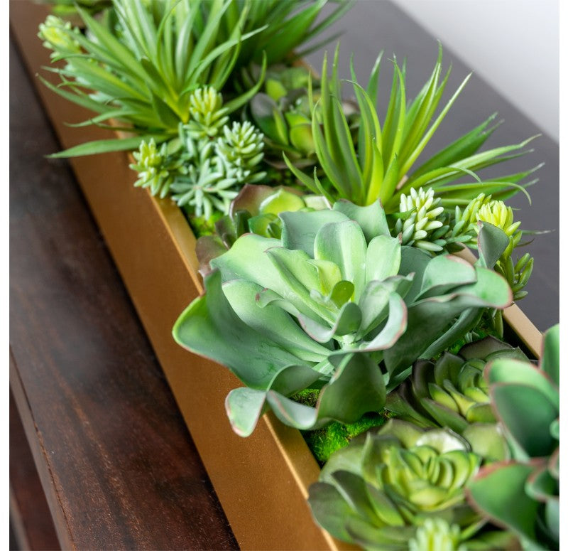 Desert Echeveria in Linear Planter by Gold Leaf Design Group | Planters, Troughs & Cachepots | Modishstore - 3