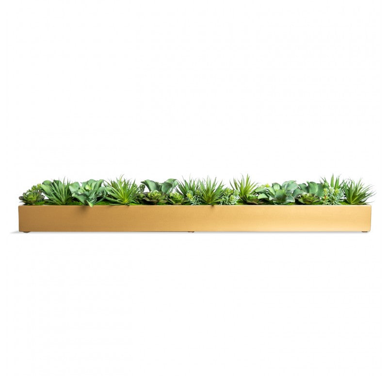 gold succulent wall planter Desert Echeveria in Linear Planter by Gold Leaf Design Group – Modish Store