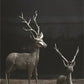 Deer By Accent Decor | Ornaments | Modishstore - 8