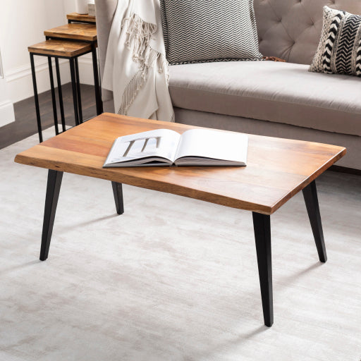 Surya Coffee Table - DGE-003 | Coffee Tables | Modishstore