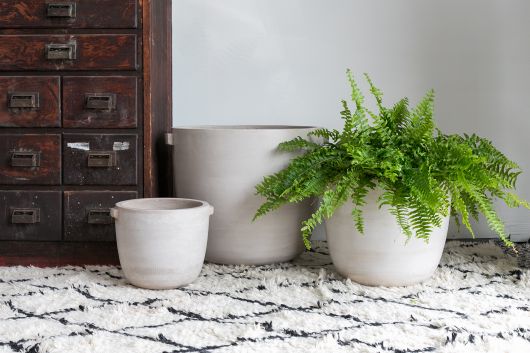 Dim Natural Grey Concrete Planter Pot By Accent Decor- 3 sizes | Planters, Troughs & Cachepots | Modishstore - 6