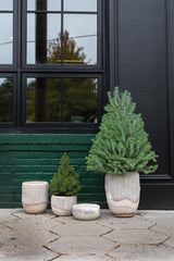 Elmwood Planter And Bowl By Accent Decor