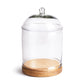 Napa Home & Garden Adrien Cloche With Base | Glass Terrariums | Modishstore - 2