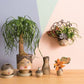 Etta Collection Set Of 3 By Accent Decor | Planters, Troughs & Cachepots | Modishstore