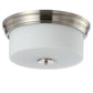 Safavieh Dalen Flush Mount - Brush Nickel | Ceiling Lamps | Modishstore - 2