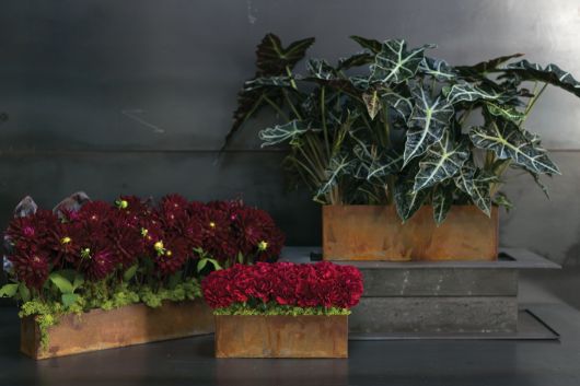 Galveston Distressed Metal Rectangular Planter Set Of 4 By Accent Decor | Planters, Troughs & Cachepots | Modishstore - 5