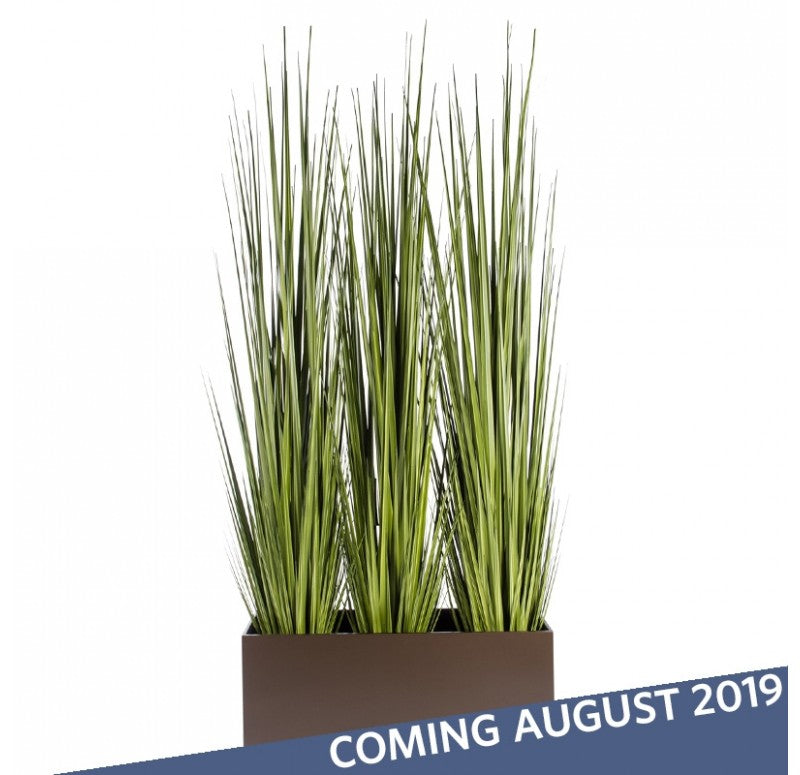 Grass: Potted Century Grass in Linear Planter, 38"OL by Gold Leaf Design Group | Planters, Troughs & Cachepots | Modishstore - 2
