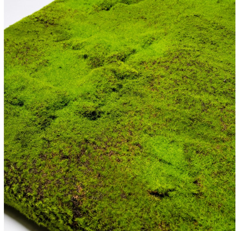 Gold Leaf Design Group's Green Wall, 'New Moss' | Green Wall | Modishstore-3