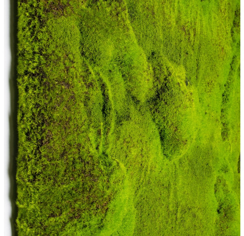 Gold Leaf Design Group's Green Wall, 'New Moss' | Green Wall | Modishstore-2