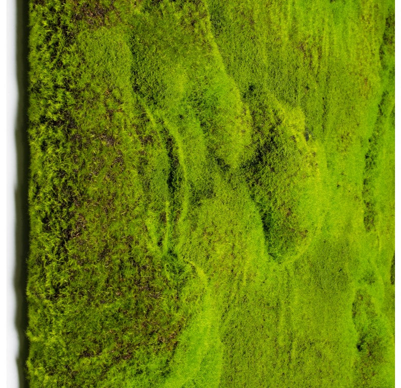 Gold Leaf Design Group's Green Wall, 'New Moss' | Green Wall | Modishstore - 2