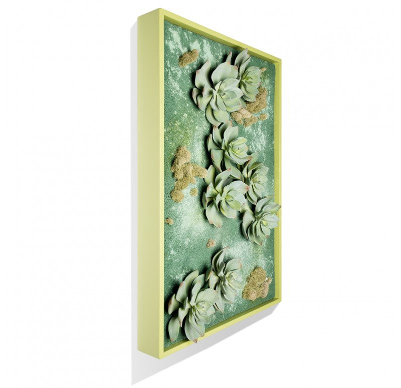 Green Wall, 'Grapto Ghost' by Gold Leaf Design Group | Green Wall | Modishstore - 2