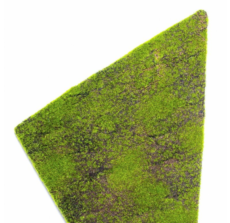 Green Wall, 'New Moss', Triangle by Gold Leaf Design Group | Green Wall | Modishstore-5