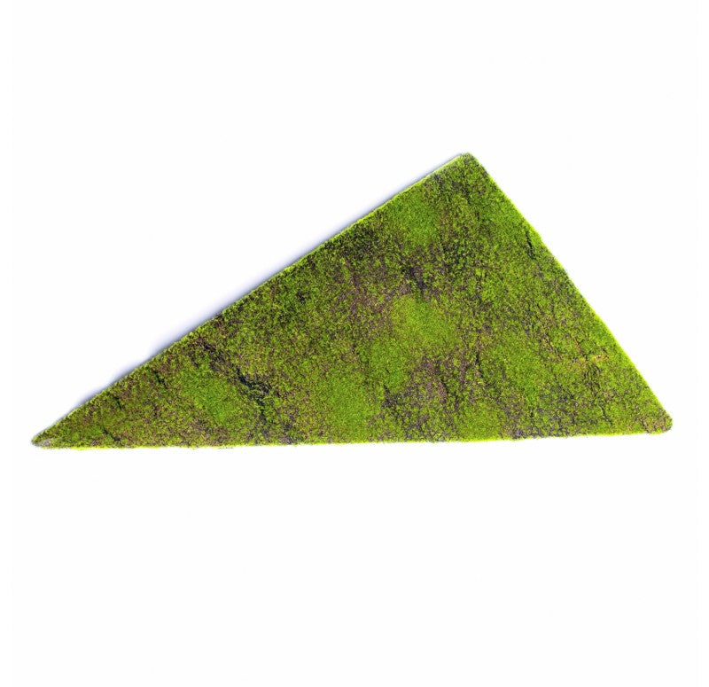 Green Wall, 'New Moss', Triangle by Gold Leaf Design Group Set Of 2 | Green Wall | Modishstore - 3