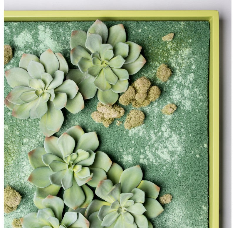Green Wall, 'Grapto Ghost' by Gold Leaf Design Group | Green Wall | Modishstore - 4