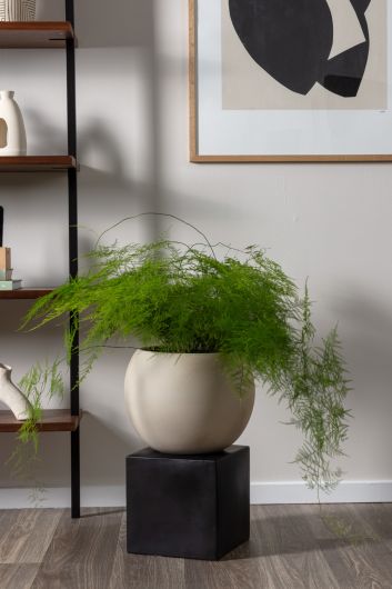 Hersch Tan Sculptural Ceramic Pot on a Cube Plant Stand By Accent Decor- 2 Sizes | Planters, Troughs & Cachepots | Modishstore - 2