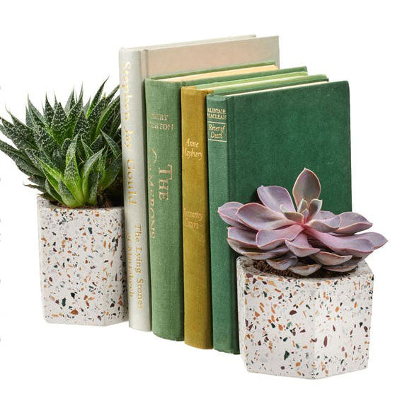 Terrazza Hex Holders-Set/2 by Texture Designideas | Planters, Troughs & Cachepots | Modishstore-2