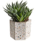 Terrazza Hex Holders-Set/2 by Texture Designideas | Planters, Troughs & Cachepots | Modishstore-3