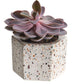 Terrazza Hex Holders-Set/2 by Texture Designideas | Planters, Troughs & Cachepots | Modishstore-4