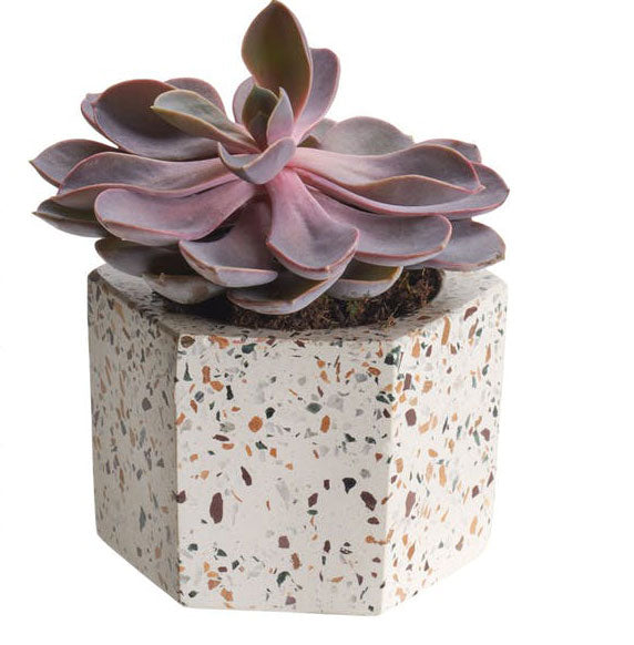 Terrazza Hex Holders-Set/2 by Texture Designideas | Planters, Troughs & Cachepots | Modishstore-4