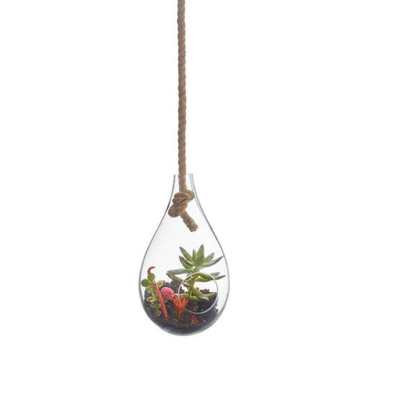 Boboli Hngng Terrarium by Texture Designideas | Glass Terrariums | Modishstore