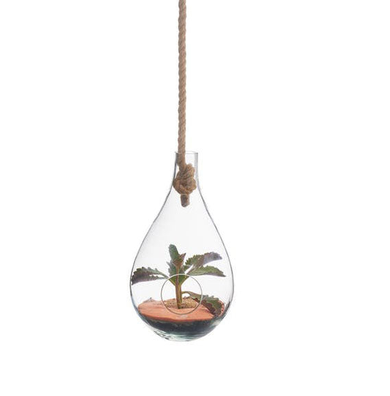 Boboli Hngng Terrarium by Texture Designideas | Glass Terrariums | Modishstore-2
