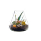 Boboli Terrarium by Texture Designideas | Glass Terrariums | Modishstore