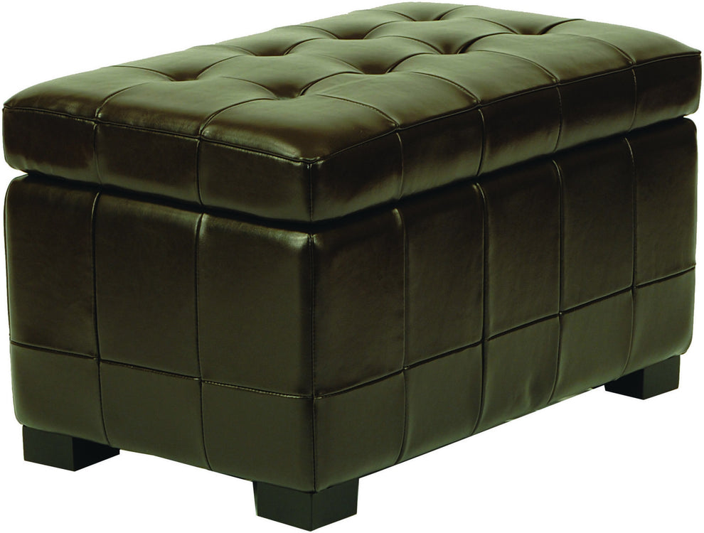 Safavieh Small Manhattan Storage Bench | Benches | Modishstore - 19