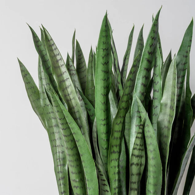 Sansevieria In Kawa Planter, Granite White, Value Engineered By Gold Leaf Design Group | Planters, Troughs & Cachepots | Modishstore - 5