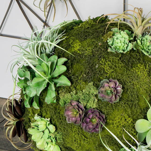 California Mix Moss Sphere By Gold Leaf Design Group | Botanicals | Modishstore - 3