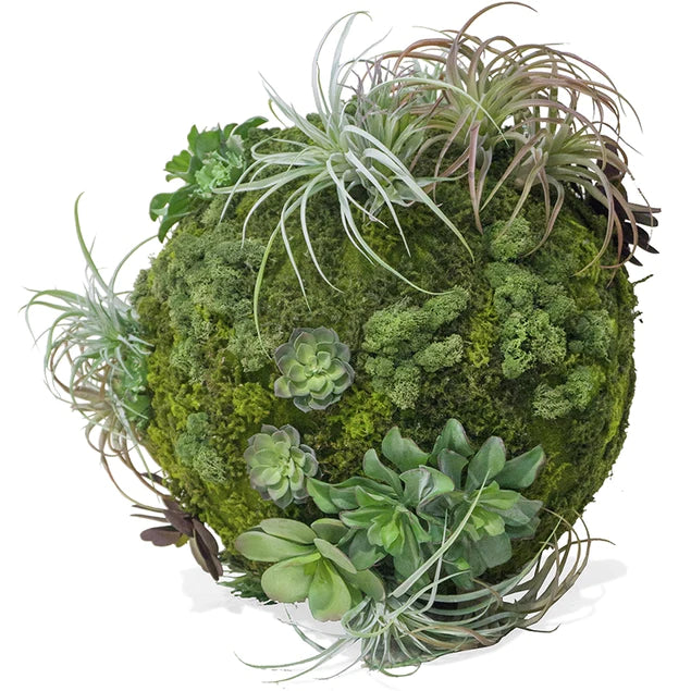 California Mix Moss Sphere By Gold Leaf Design Group | Botanicals | Modishstore - 2