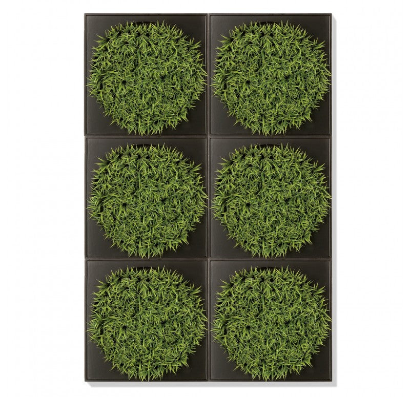 Mini Green Wall, Curly Grass by Gold Leaf Design Group | Green Wall | Modishstore - 2