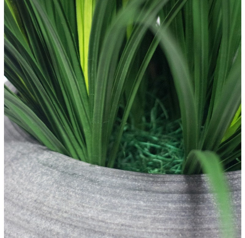 Grass: Liriope in Naoshima Planter, SM by Gold Leaf Design Group | Planters, Troughs & Cachepots | Modishstore - 3