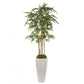 Bamboo Tree, Unpotted in Fiberglass Pia Planter by Gold Leaf Design Group | Planters, Troughs & Cachepots | Modishstore